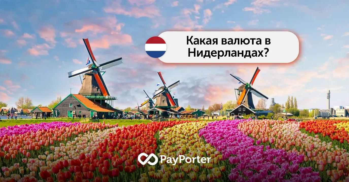 Валюта Нидерландов | Руководство по евро (EUR)